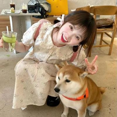 伪装者
